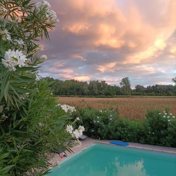 Villa Malisa La Voulte-sur-Rhone ภายนอก รูปภาพ
